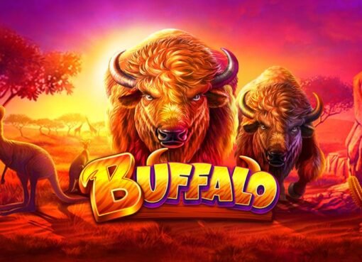 Buffalo Slot